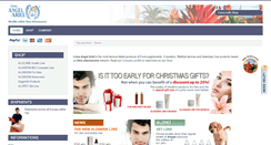 Desktop Screenshot of angelariel.com